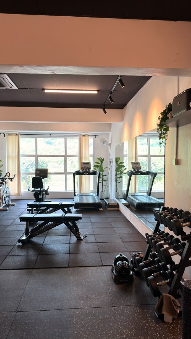 Benches, treadmills and a dumbbell rack along the mirror wall