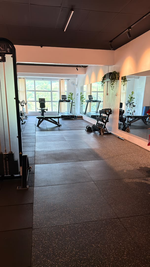 The training floor: bench, treadmill and dumbbell rack