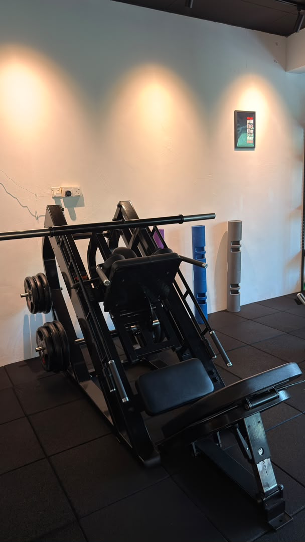 45-degree leg press at HK Fitness