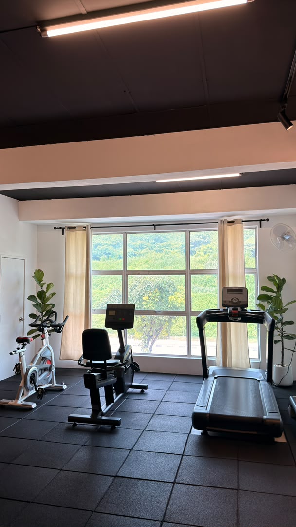 Cardio by the window: spin bike, recumbent bike and treadmill